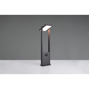 Trio lights Malawi outdoor floor lamp LED anthracite, 1-light source, Motion sensor