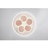 Trio lights Mandala ceiling light LED grey, 1-light source, Remote control