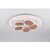 Trio lights Mandala ceiling light LED grey, 1-light source, Remote control