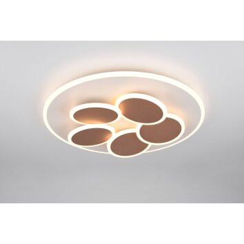 Trio lights Mandala ceiling light LED grey, 1-light source, Remote control