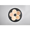 Trio lights Mandala ceiling light LED black-gold, 1-light source, Remote control