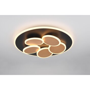 Trio lights Mandala ceiling light LED black-gold, 1-light source, Remote control