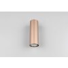 Trio lights Marley wall light brown, 2-light sources