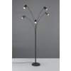 Trio lights Marley floor lamp black, 5-light sources