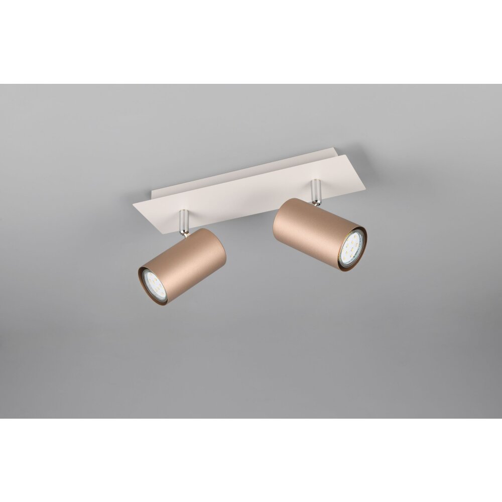 Trio lights Marley ceiling spotlight brown, 2-light sources
