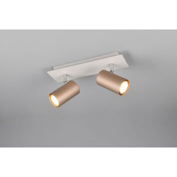 Trio lights Marley ceiling spotlight brown, 2-light sources