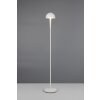 Reality lights Mendorez floor lamp LED grey, 1-light source