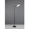 Reality lights Mondello floor lamp LED black, 1-light source