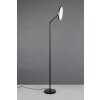 Reality lights Mondello floor lamp LED black, 1-light source