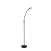 Reality lights Moreno floor lamp LED black, 1-light source