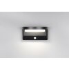 Reality lights Moro wall light LED black, 1-light source, Motion sensor