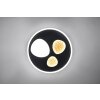 Trio lights Pebble ceiling light LED black, 1-light source, Remote control