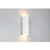 Trio lights Raglan wall light LED white, 2-light sources