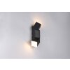 Trio lights Raglan wall light LED black, 2-light sources