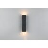 Trio lights Raglan wall light LED black, 2-light sources