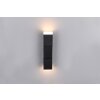 Trio lights Raglan wall light LED black, 2-light sources