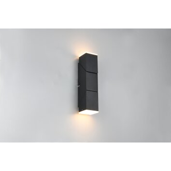 Trio lights Raglan wall light LED black, 2-light sources