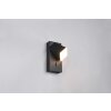 Trio lights Raglan wall light LED black, 1-light source