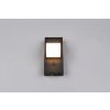 Trio lights Raglan wall light LED black, 1-light source