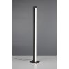 Trio lights Seeker floor lamp LED black, 1-light source