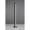 Trio lights Seeker floor lamp LED black, 1-light source