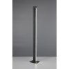 Trio lights Seeker floor lamp LED black, 1-light source