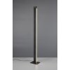 Trio lights Seeker floor lamp LED black, 1-light source