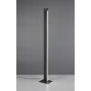 Trio lights Seeker floor lamp LED black, 1-light source