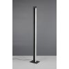 Trio lights Seeker floor lamp LED black, 1-light source