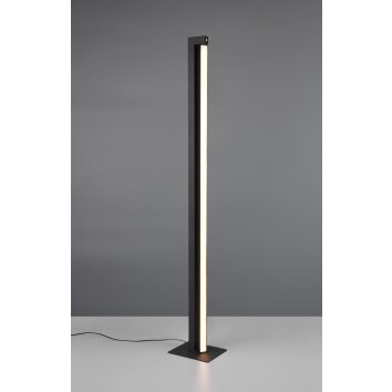 Trio lights Seeker floor lamp LED black, 1-light source