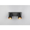 Trio lights Sharp ceiling spotlight black, 2-light sources