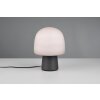 Trio lights Steen table lamp black, 1-light source