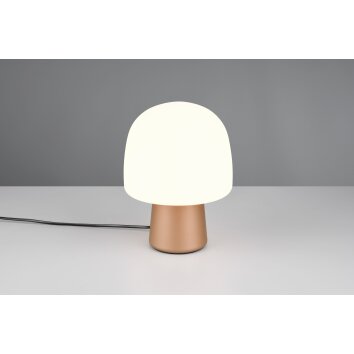 Mushroom Lamp  Trio lights Steen table lamp brown, 1-light source