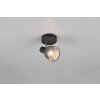 Trio lights Tarifa ceiling spotlight black, 1-light source