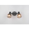 Trio lights Tarifa ceiling spotlight black, 2-light sources