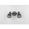 Trio lights Tarifa ceiling spotlight black, 2-light sources