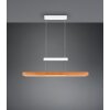 Trio lights Trajan pendant light LED white, 1-light source