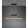 Trio lights Trajan pendant light LED black, 1-light source