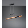 Trio lights Trajan pendant light LED black, 1-light source