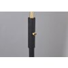 Trio lights Traveller floor lamp black-gold, 1-light source