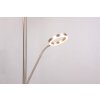 Trio lights Willis floor lamp LED matt nickel, 2-light sources