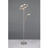 Trio lights Willis floor lamp LED matt nickel, 2-light sources