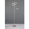 Trio lights Willis floor lamp LED matt nickel, 2-light sources