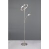 Trio lights Willis floor lamp LED matt nickel, 2-light sources