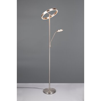 Trio lights Willis floor lamp LED matt nickel, 2-light sources