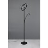 Trio lights Willis floor lamp LED black, 2-light sources