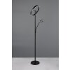 Trio lights Willis floor lamp LED black, 2-light sources