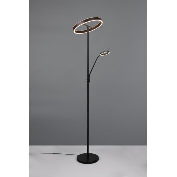 Trio lights Willis floor lamp LED black, 2-light sources