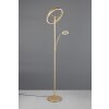 Trio lights Willis floor lamp LED gold, 2-light sources