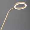 Trio lights Willis floor lamp LED gold, 2-light sources